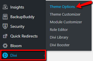 divi theme options