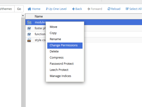 Change Permissions on the modules Folder