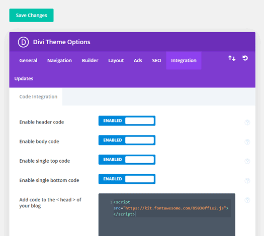 Font Awesome kit code pasted into Divi>Theme options>Integration