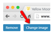 change the favicon on Divi website